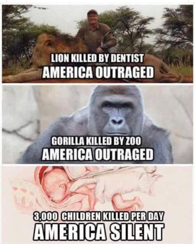 abortion