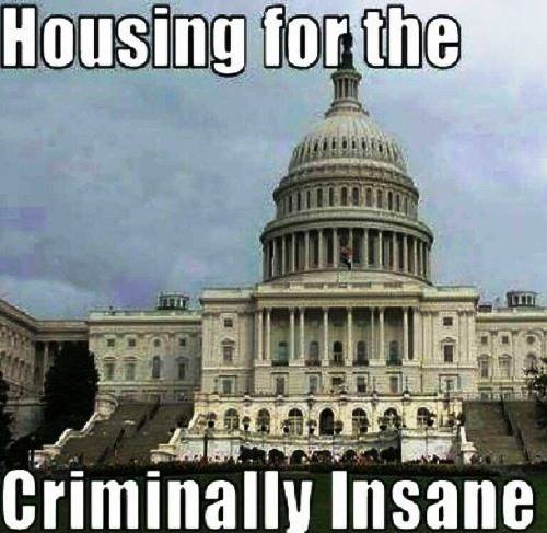 53389212_10156380939317266_7431620408060674048_n