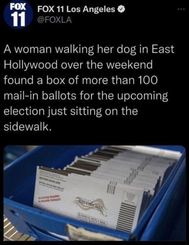 stealing votes