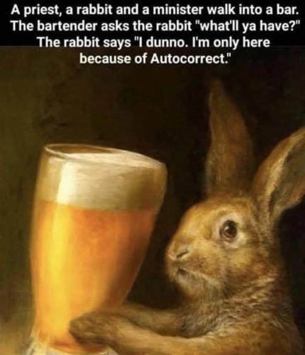 Rabbit Spell CHeck