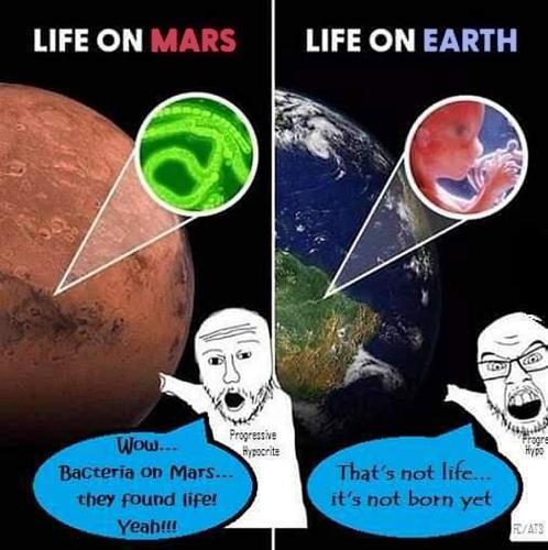 M Life