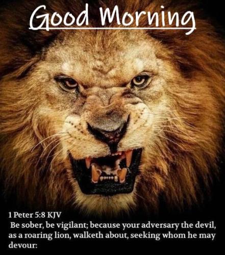 050222 - 1 Peter 5-8