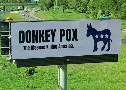 donkey-pox