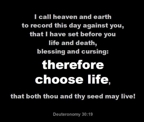 Deut 30-19