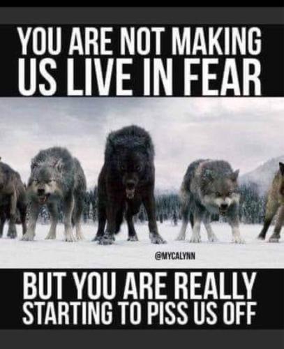 CB3F0095-5CCD-4F70-8805-D56A4EEF0F61