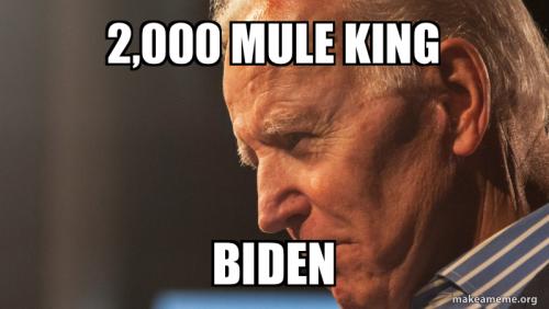 2000-mule-king