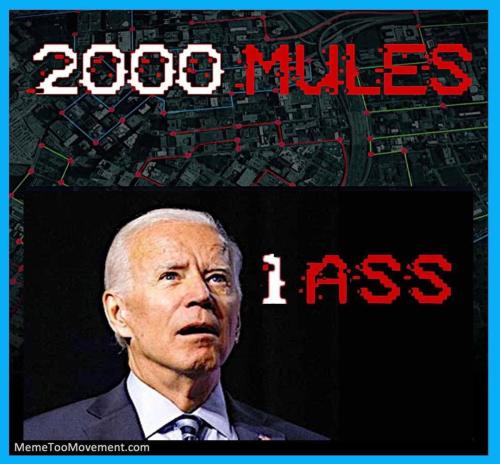 A4B8444E-569C-4EB4-9688-95EF416167D2