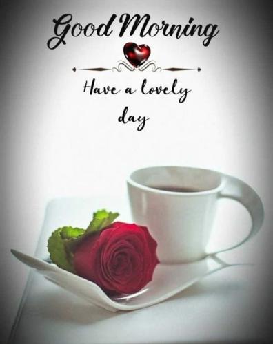 051222 - coffee & rose