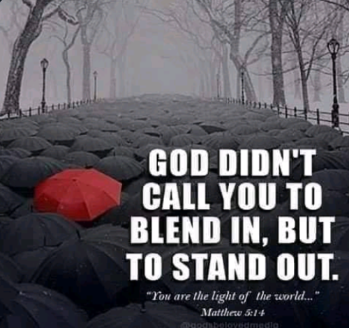 Capture+_2022-05-15-16-52-42(1)