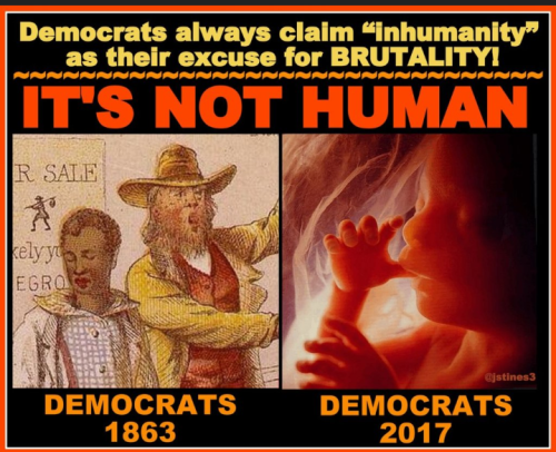 Capture+_2022-05-18-17-17-08(1)