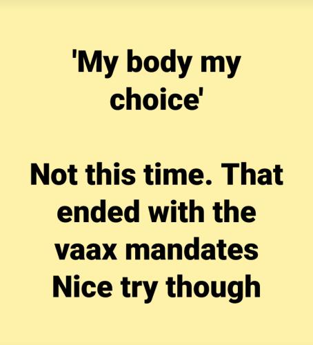 3B408FE6-0847-451C-B7CB-2A7516825981