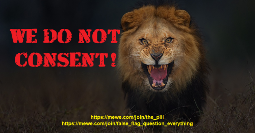 We Do Not Consent big logo