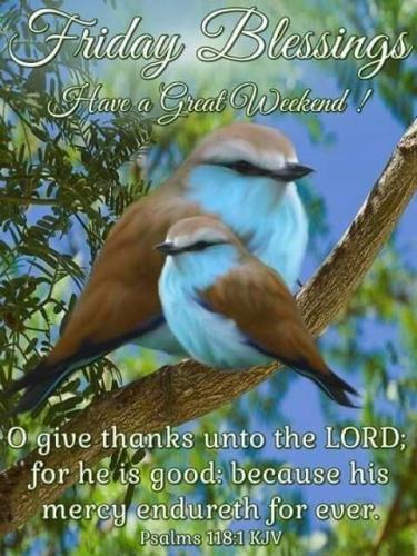 FB_IMG_1652457761081