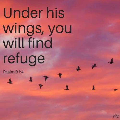 FB_IMG_1612062057653