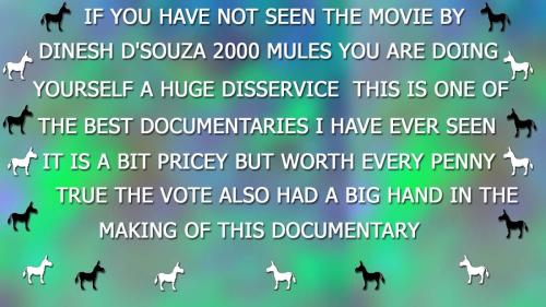 2000 MULES