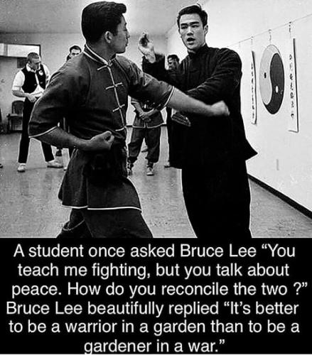 ABF3FC45-1E13-450D-881B-B3769A07BB3A