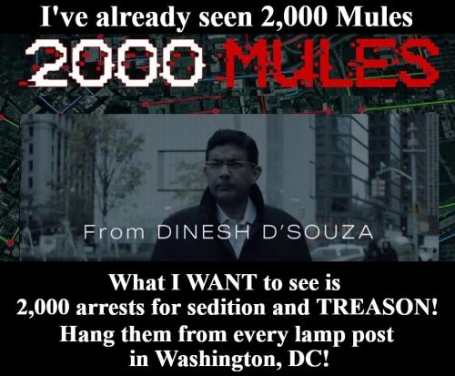 Ive already seen 2000 mules what I want to see is 2000 arrests