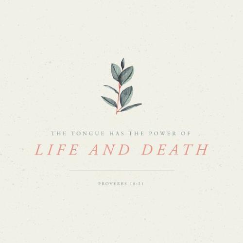 280503905_10220164501533258_7671715147440428915_n