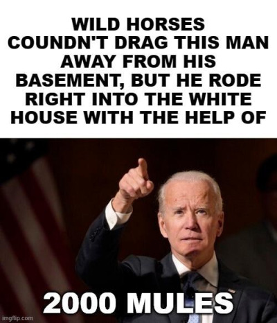 1C2D8176-8436-43B8-A50E-95457C670103