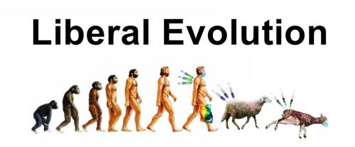 025a6be25b64afcf95862a3ae3bdbdee