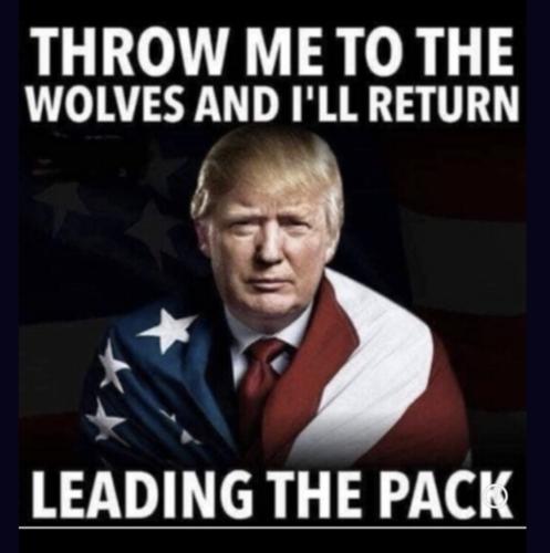 59058CB8-49DE-4016-BD09-7267A77EA54A