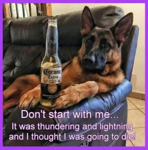 35b10f74-68c5-43b4-b9ec-011000bf46ea