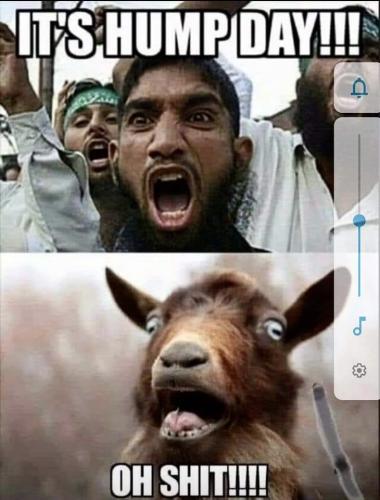 C7320F15-3C74-4607-BFE2-F06032C110AE