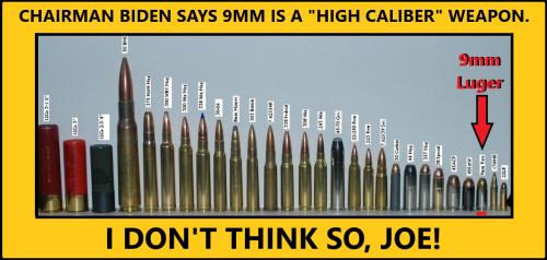 BIDEN-9MM