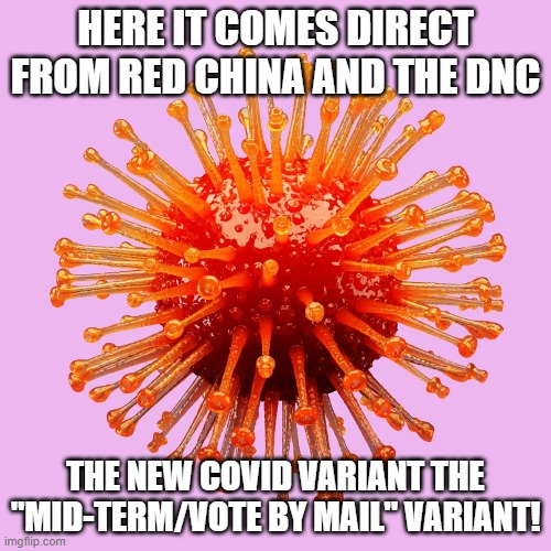 noothereaytowinthemidtermmustcheat