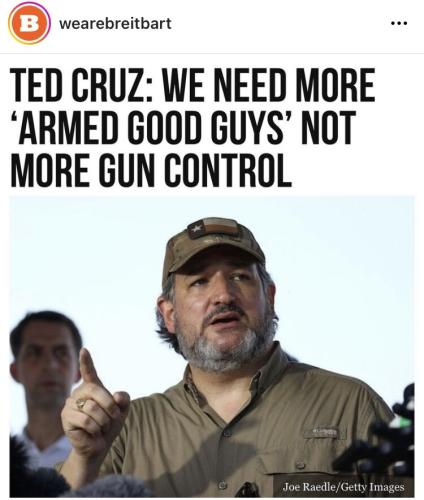 GunControl22