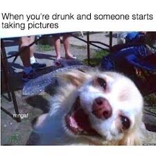 5c2a213649978624