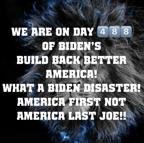8C38034D-49F6-430C-B25A-8BD0BE385024
