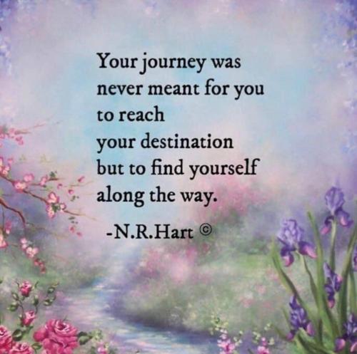 photo5168136810612763252