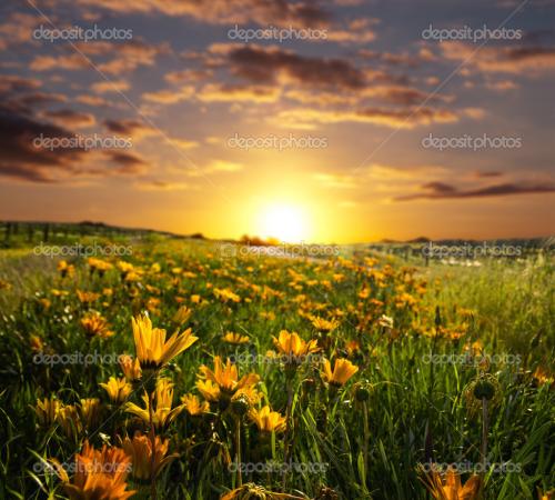 depositphotos_4281907-stock-photo-sunrise-or-sunset