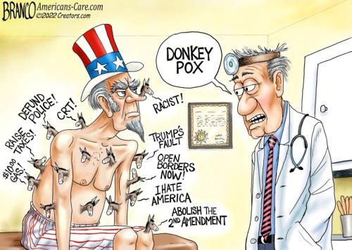 Donkey Pox