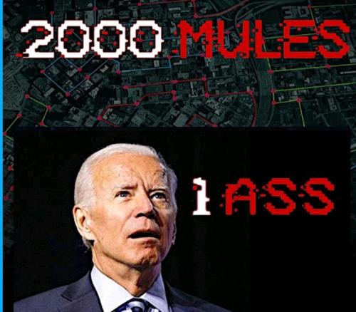 Screenshot_20220511-174202