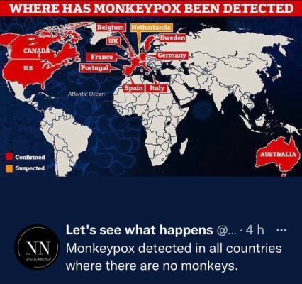 no monkeys