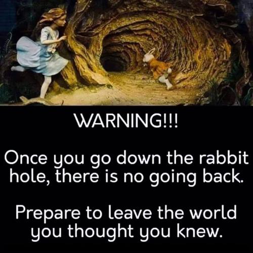 AA rabbit hole