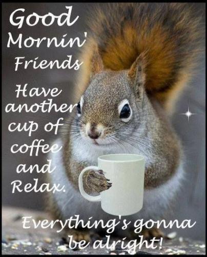 photo5472193793357889213