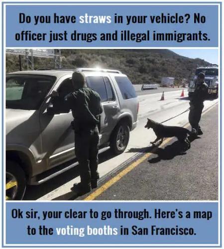 san-francisco-do-you-have-any-straws-in-car-no-just-drugs-illegal-immigrants-heres-map-to-voting-booths.jpg