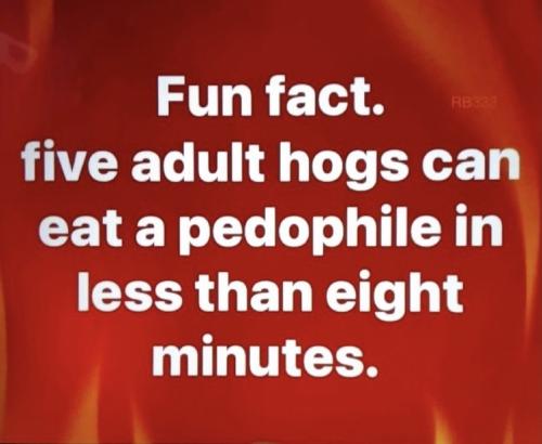 FUN FACT