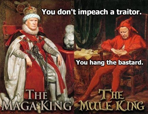 You don't impeach a traitor you hang them 888px