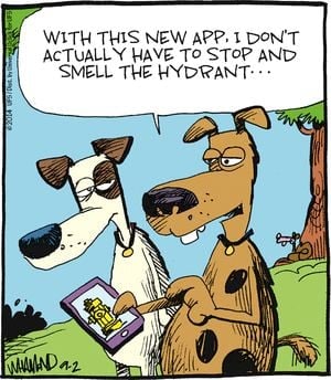 IMG_20220509_193002_731