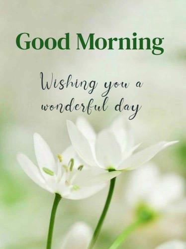 FB_IMG_1652185235928