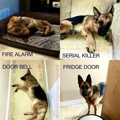 67DAAEA2-F644-449A-B38C-4710246EB360