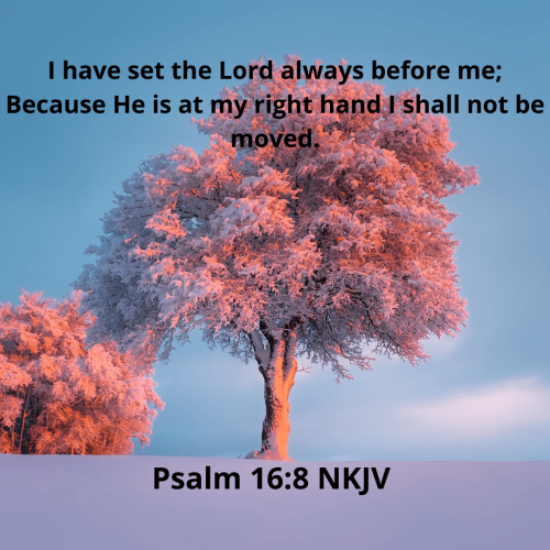3D7B350171A9B25A259E538E6AB6C7B8.bible113-min
