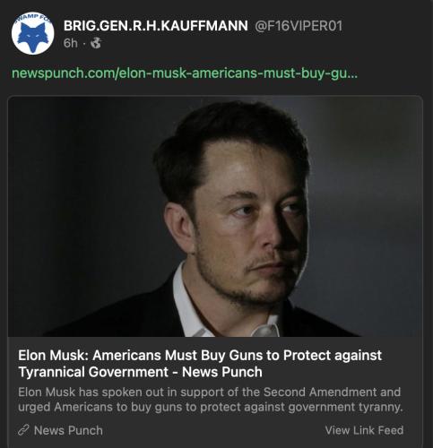 Musk & guns