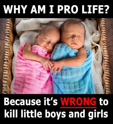 FB_IMG_1652455183635