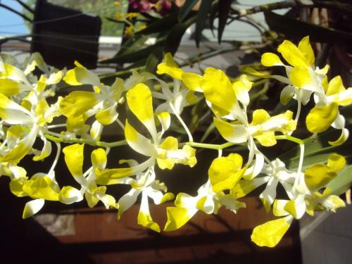 473780_10150605026197266_1353773770_o