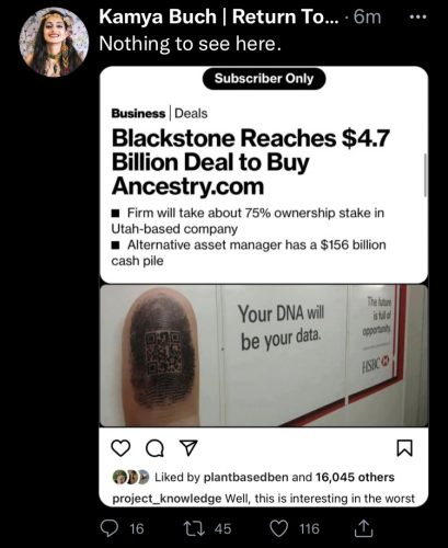 iwonderwhy